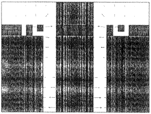 t131-2.gif (17643 bytes)