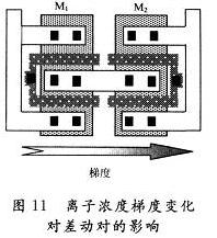 離子濃度梯度變化對差動對的影響